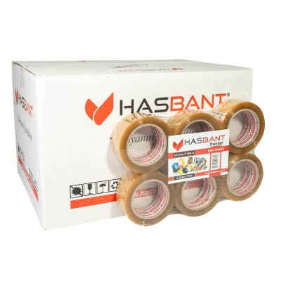 HAS BANT FREEZER 45MMx100M KOLİ BANDI - 2